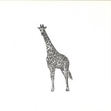 Giraffe - Juni