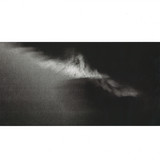 Par Grindvik - Sole Survivor