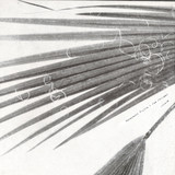 Fujita, Masayoshi & Jelinek, Jan - Schaum