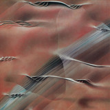 L.d.nero - Bethelight