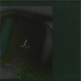 Bear Bones, Lay Low - Voces de Humo