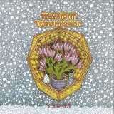 Waveform Transmission - V 3.0-3.9’