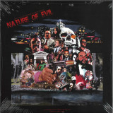 PSYCHIC MIRRORS - NATURE OF EVIL LP