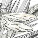 Faster - Transparency EP II