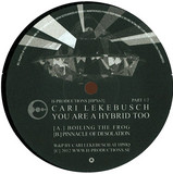 Cari Lekebusch - You Are A Hybrid Too (part1)