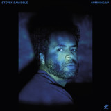 Steven Bamidele - Summing Up LP