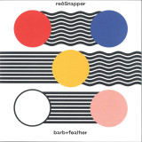 Red Snapper - Barb & Feather