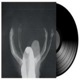 JULIE'S HAIRCUT - RADIANCE OPPOSITION