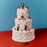 Blossoms - Songs From The Wedding Cake LP