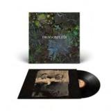 Dragonflies - Dragonflies