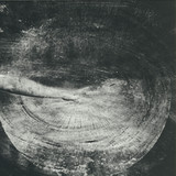 Shxcxchcxsh - Strgths 2x12"