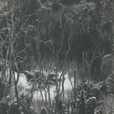 Levantis - Believe Ep