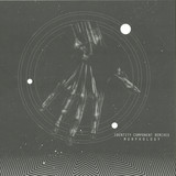Morphology - Identity Component Remixes 2x12"