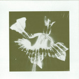 Ryota O.p.p - Future Life Ep