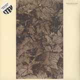 Eyeless In Gaza - Rust Red September - 2x12"