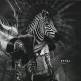 Camea - Signs