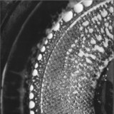 Developer - Vapor Channel EP