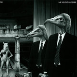 Mr Velcro Fastener - Capek