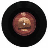Brownout & Jungle Fire - Renegades Of Jazz Remixes