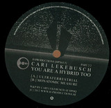 Cari Lekebusch - You Are A Hybrid Too (part2)