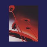Various - Nothing Ever Was: Compiled by DJ Sundae LP