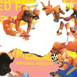 Foehn & Jerome, Sonya Zlo - Macho Madness (2026 Re Release)