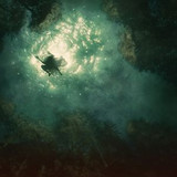 Braids - Companion Cd