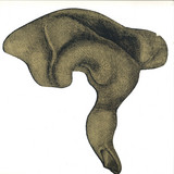 Les Gracies - Low Doses 2x12"