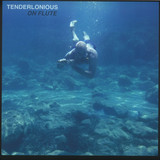 Tenderlonious - On Flute
