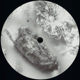 Soukah - Windowlicka