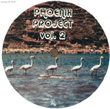 Mike Burns - Phoenix Project Volume