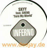 Skyy Feat. Shena - Turn My World