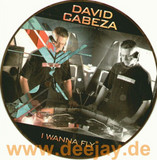 David Cabeza - I Wanna Fly *picture*