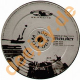 Fabrice Lig - Maurer