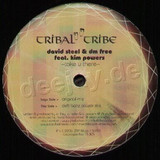 David Steel & Dm Free Feat. Ki - Take U There