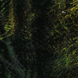 Laps - Joyful Process