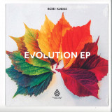 BCee & Kubiks - The Evolution EP