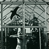 Uffe - Colors Outside (vinyl Only)