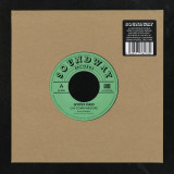 GYPSY FARI - CHI-TOWN REGGAE