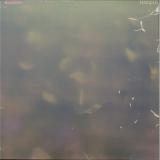 Benoît Pioulard & Offthesky - Sunder