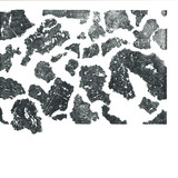 Lawrence Le Doux - Terrestre