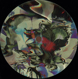 Roman Poncet - Walfisch