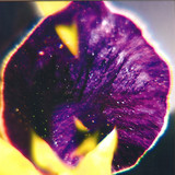 Fis - From Patterns To Detailsk