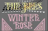 The Bees - Winter Rose 7"