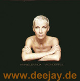 Annie Lennox - Wonderful