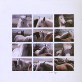 Marc Hellner - Marriages