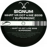Signum - What Ya Got 4 Me 2006