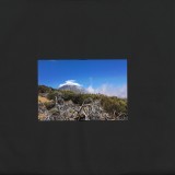 omni causa - AUX4420