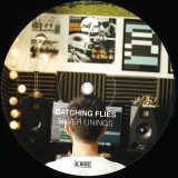 Catching Flies - Silver Linings