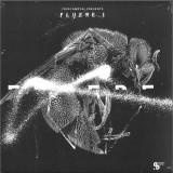 Various - Yossi Amoyal presents Fluere I